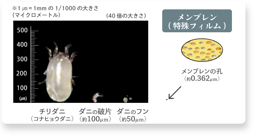 メンブレンの多孔質な孔は、1㎛(1㎜の1000分の１)よりさらに小さく、ダニのフンや破片は通ることができません