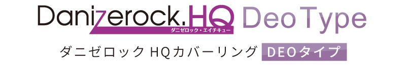 ˥åHQС󥰡DEOס