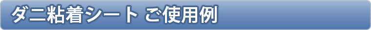 ダニ粘着シート ご使用例