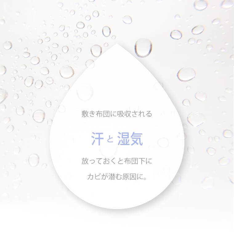 ˤĤݤ̲᤹뤫Ĵ٤ޤ