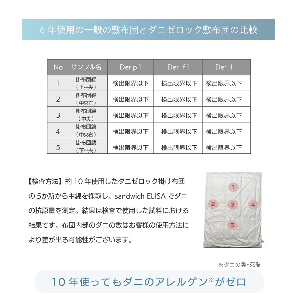 10ǯȤäƤˤΥ륲󤬥