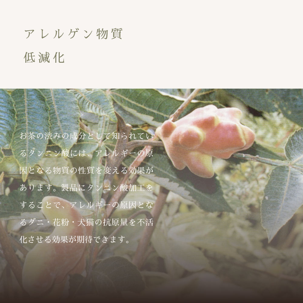 10ǯȤäƤˤΥ륲󤬥