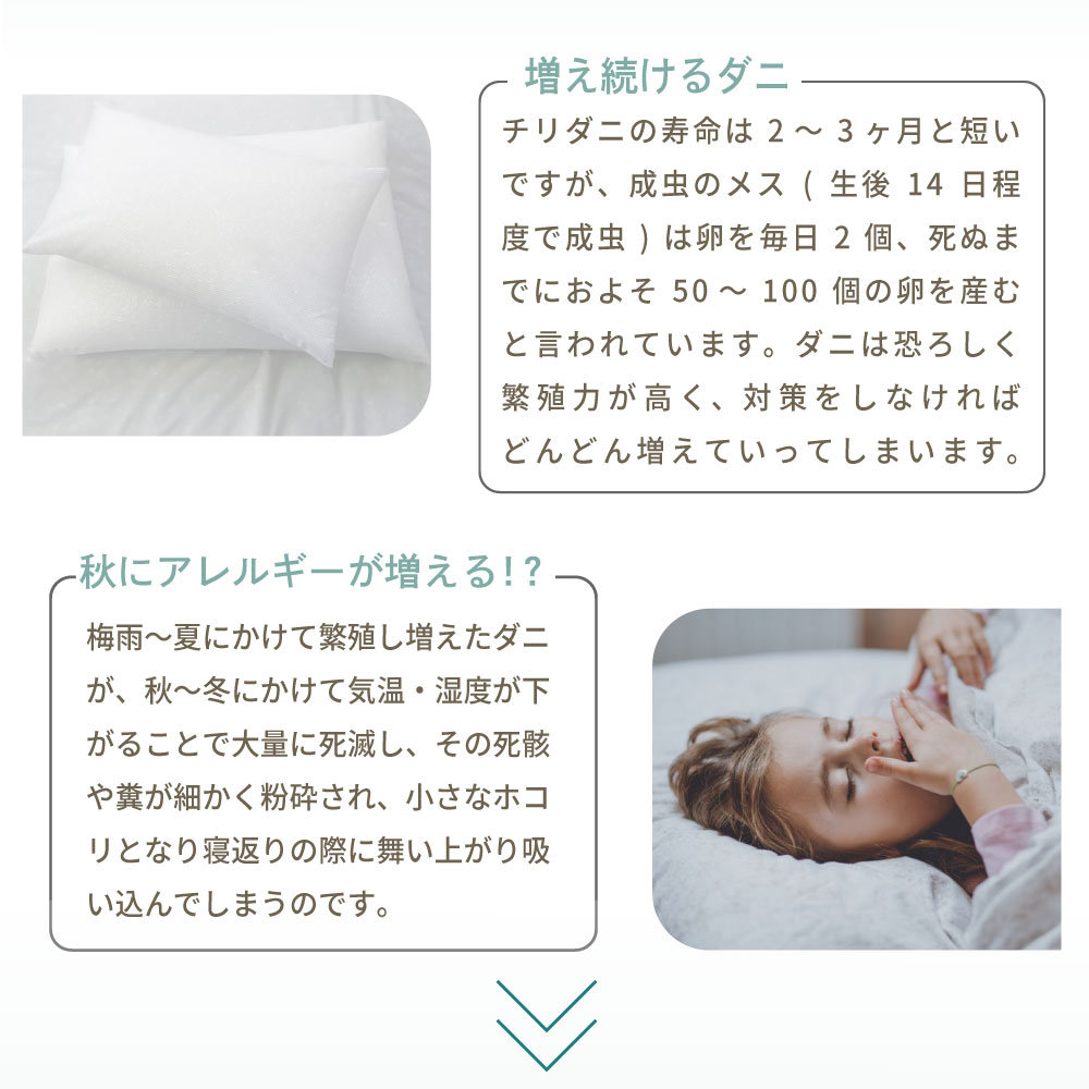 ³ˡ˥륮롪