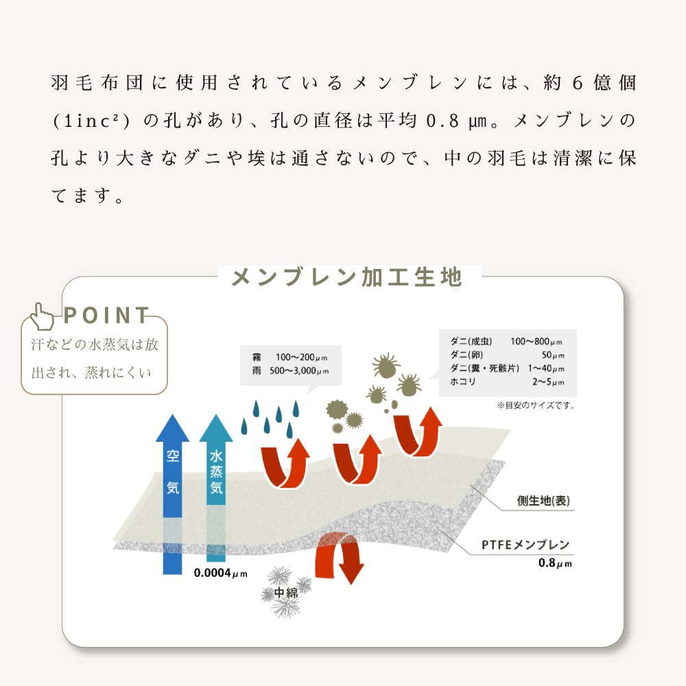 メンブレンの穴により大きなダニやほこりは通さないので、中の羽毛は清潔に保てます。